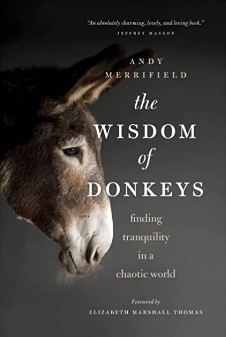 Recommended reading: The Wisdom of Donkeys. by Andy Merrifield